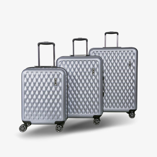 Silver luggage 2024